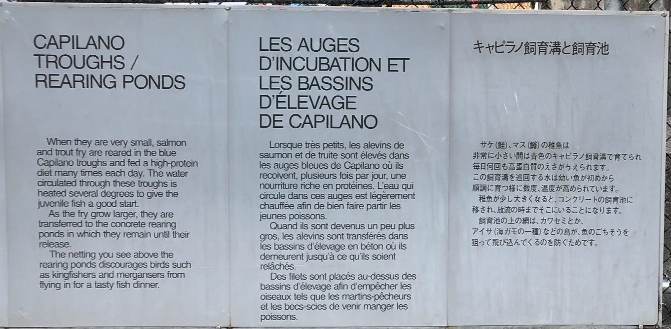 Capilano Troughs / Rearing Ponds trilingual interpretive sign