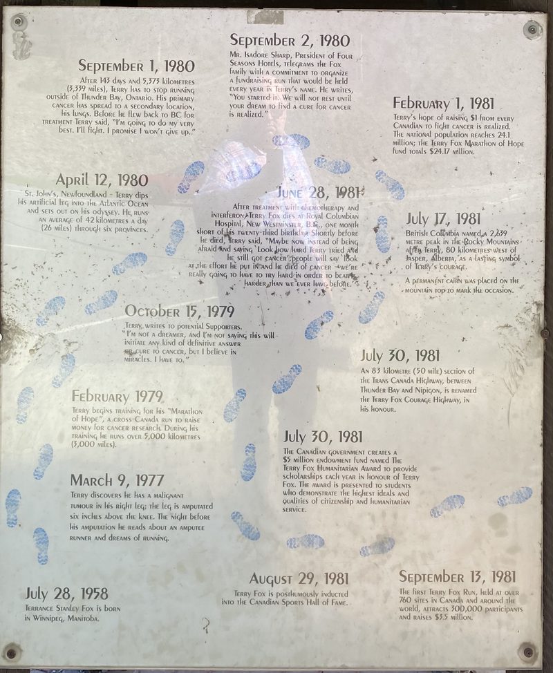 Panel 2: Timeline of key events (1958-1981)