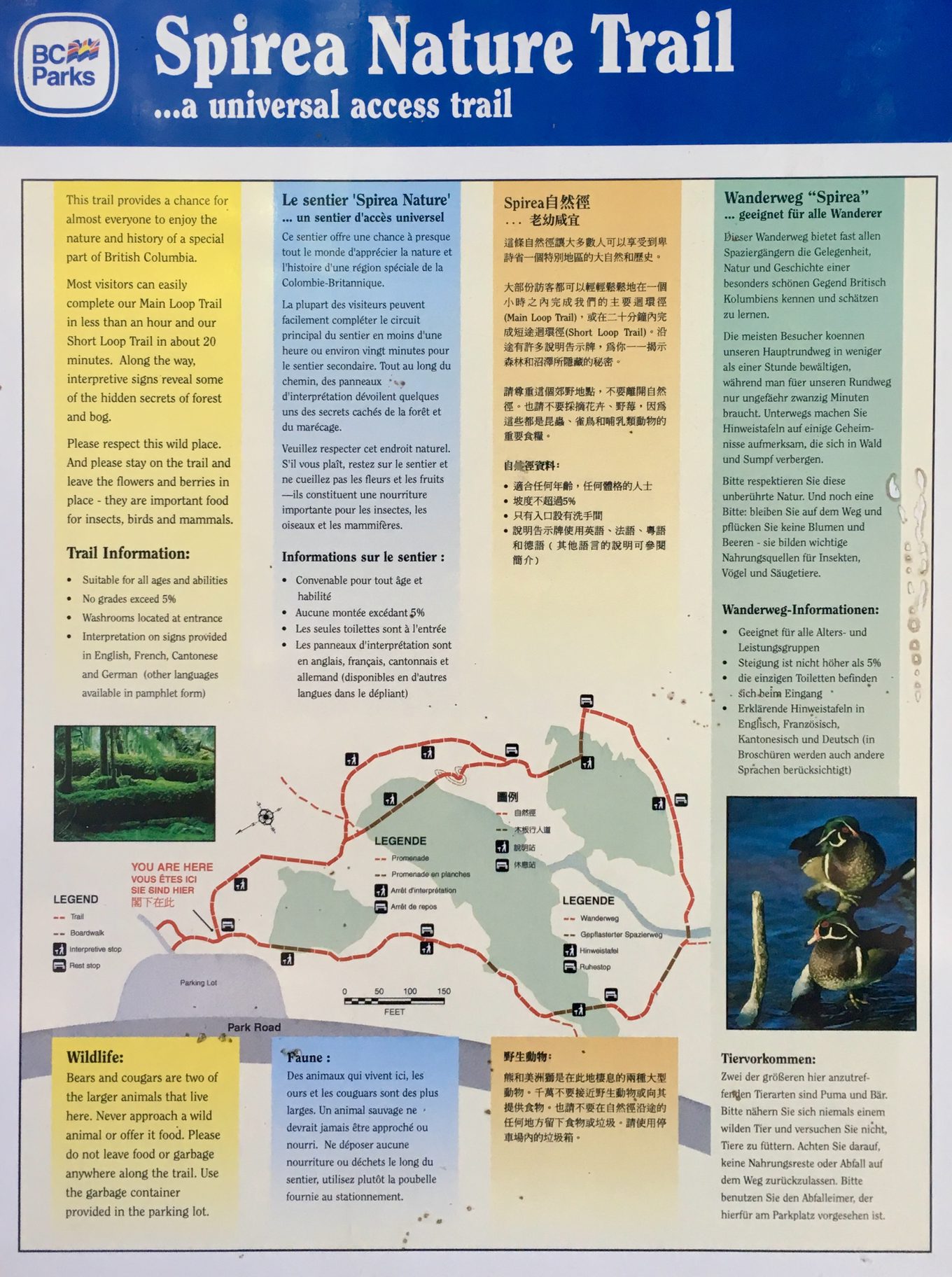Full view of the Spirea Nature Trail information sign